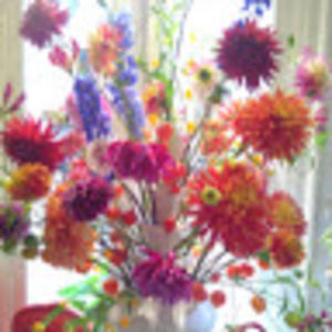 Meet your Posher, Patricia